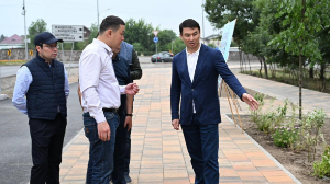 Дархан Сатыбалды қатты зақымданбаған асфальтты ауыстыруға қатысты ескерту жасады