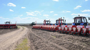 Елімізде 2025 жылғы көктемгі егіс науқаны толық аяқталды