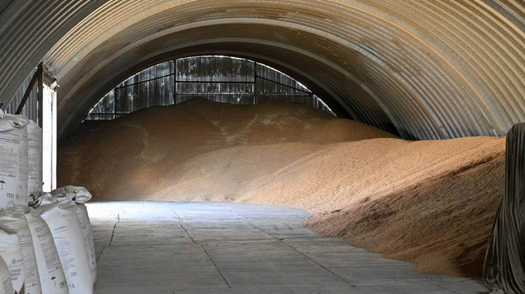 Егіншілерге нақты қолдау: жеңілдетілген несие мен техника лизингі кеңейтілді