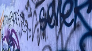 Алматыда адвокаттар алқасының ғимаратында есірткі жарнамасы болған  