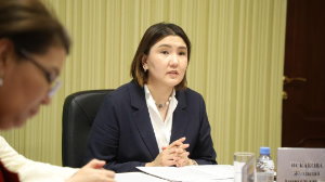Қазақстанда гендерлік сезімтал бюджетті енгізу бойынша жол картасы әзірленуде