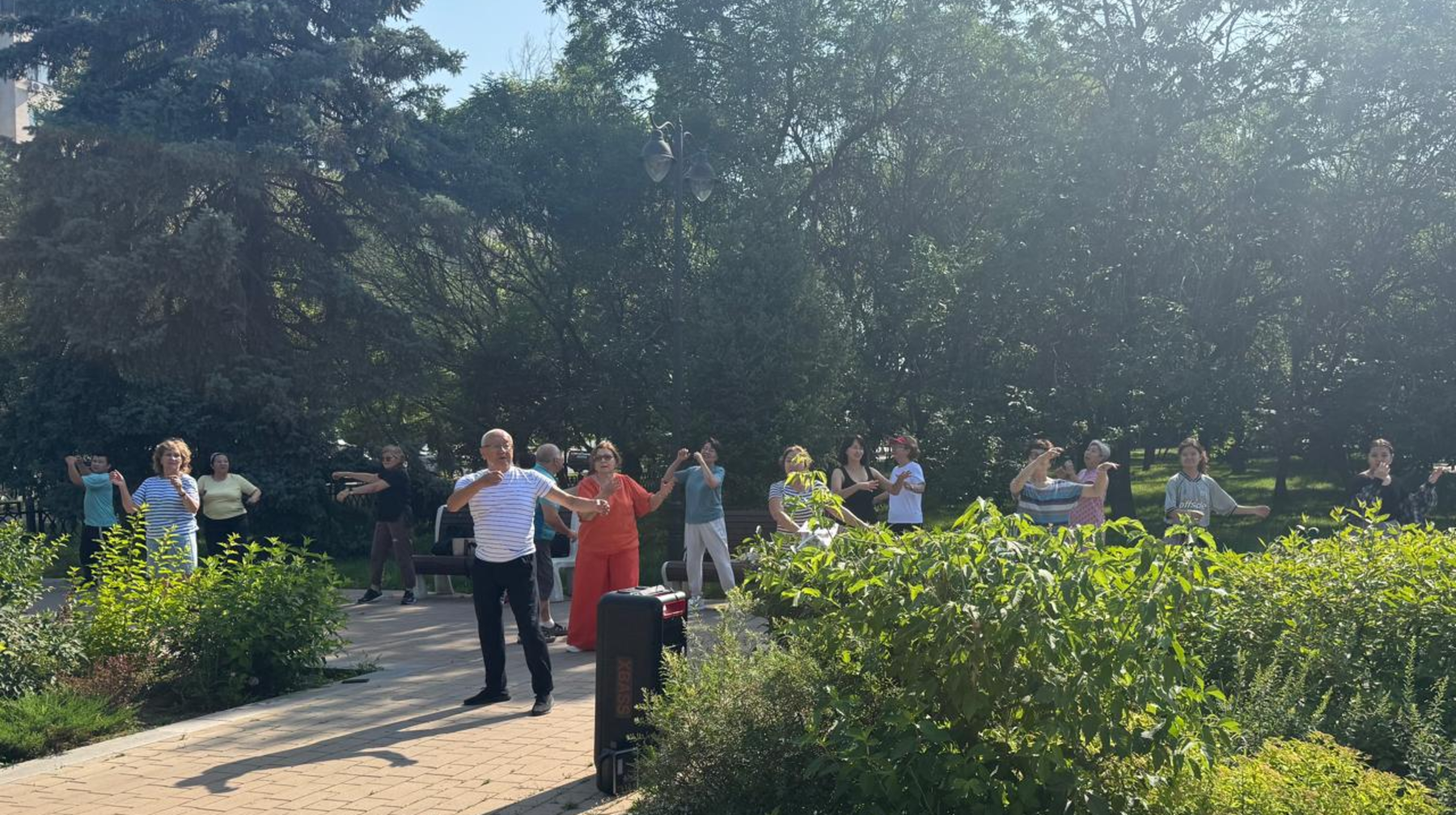 Тереңқұр бойындағы таңғы би: сергектік пен шабыт көзі