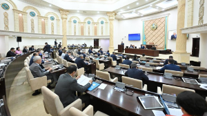 Сенатта азаматтық қорғау туралы заң қаралды