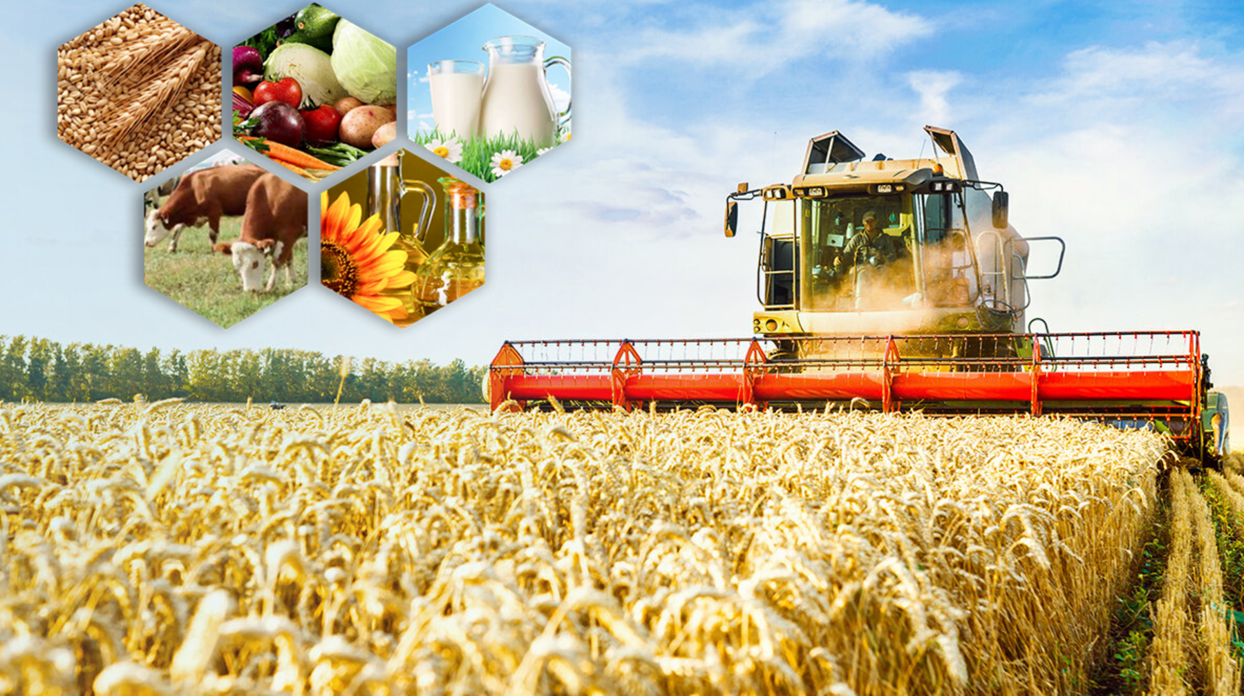 Экономист: қайта өңдеу - экономиканың жаңа бағыты