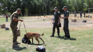 Иттің тамағы 3 миллиард теңге