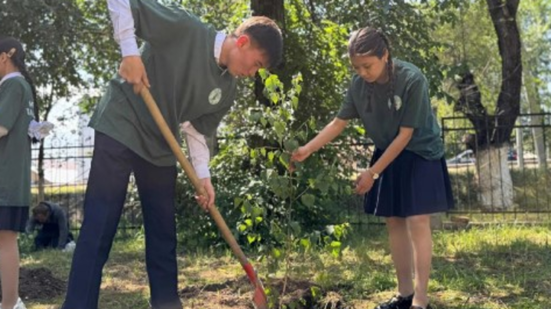 Президент тапсырмасы бойынша 1,3 млрд-тан астам көшет отырғызылды