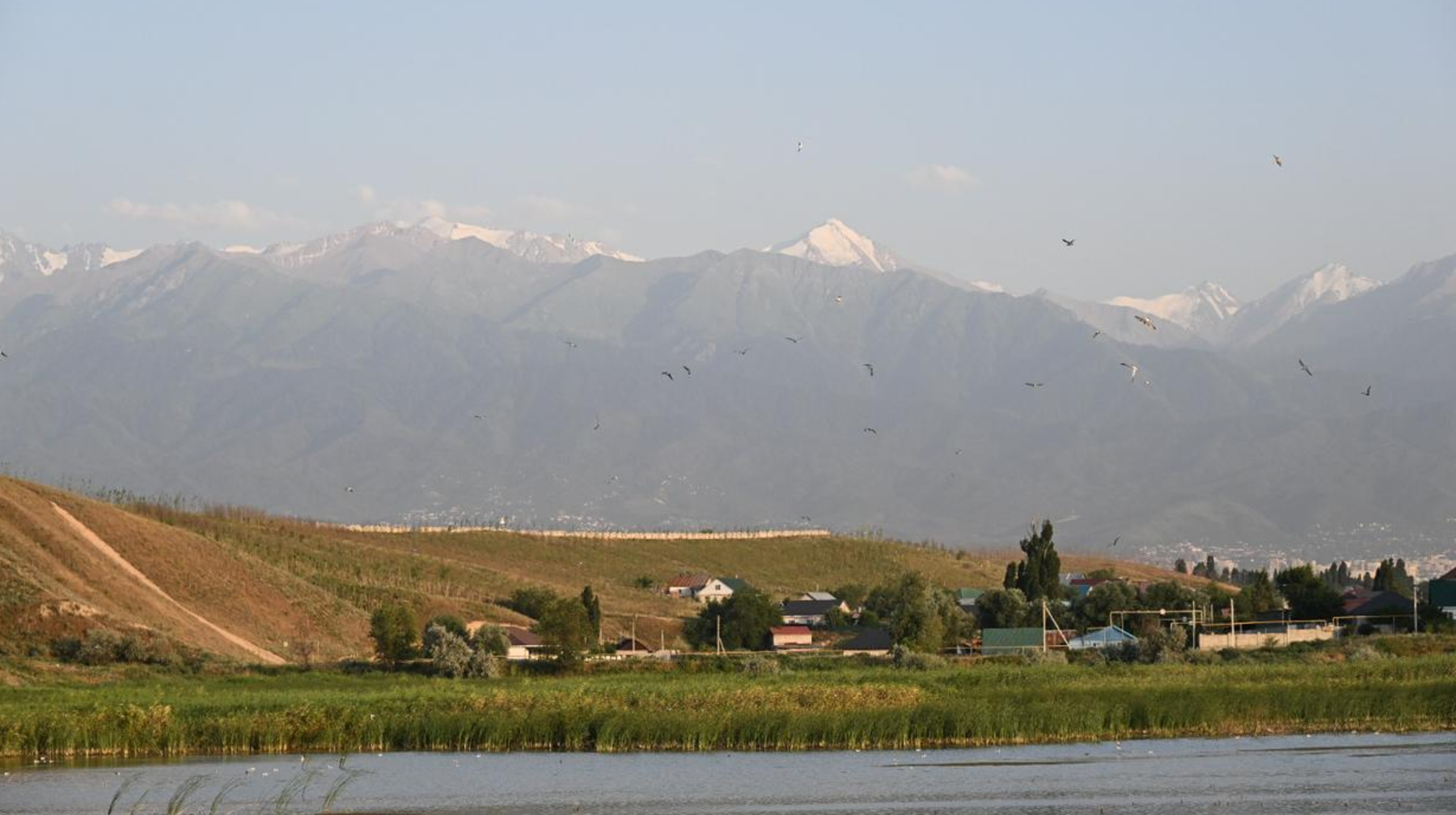 Алатау ауданында тоғандарды көркейту жобасы әзірленіп жатыр