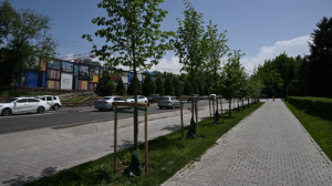 Алматы әкімі жасыл аймақтарды суару мен күтіп-баптауға бақылауды күшейтуді тапсырды