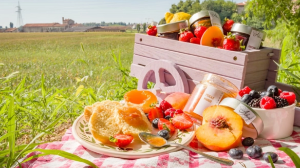 Демалыс орындарына өз тамағыңызды алып кіру қаншалықты заңды немесе заңсыз?