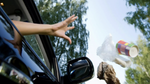 Алматыда қоқысты заңсыз тастаған шенеуніктер жазаланды 