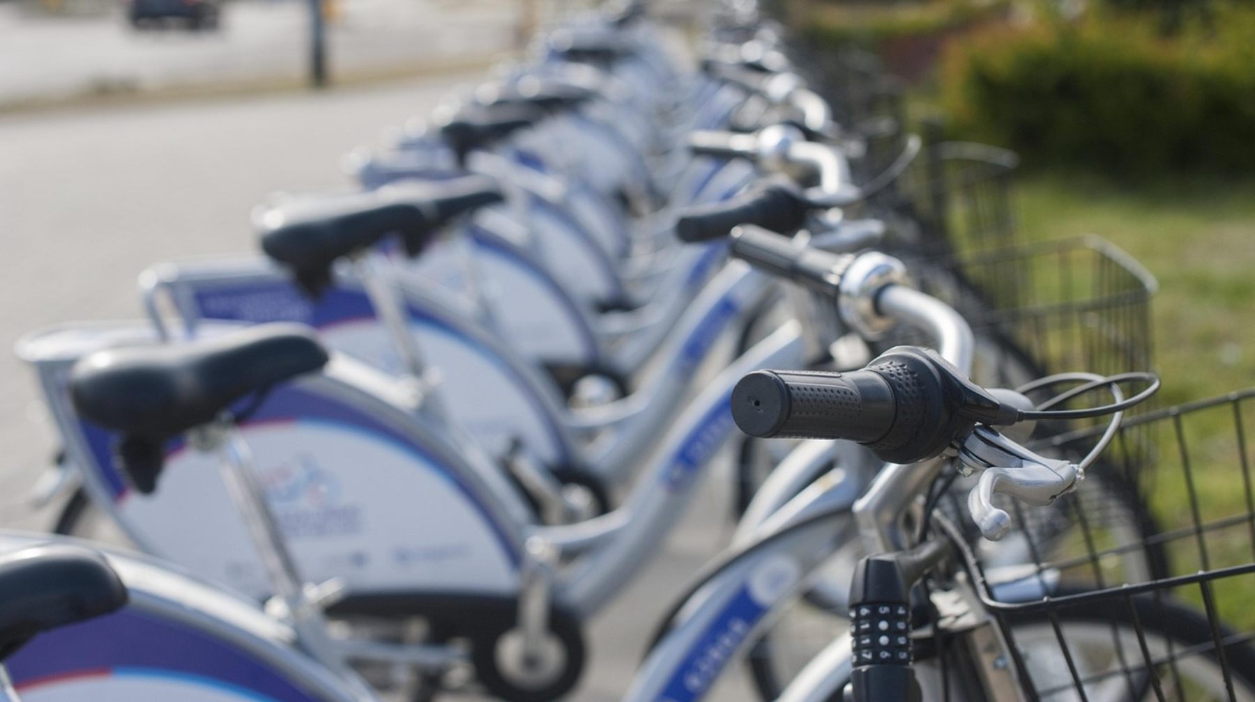 Журналист АҚШ-та "Абай велошеруін" өткізетінін айтты