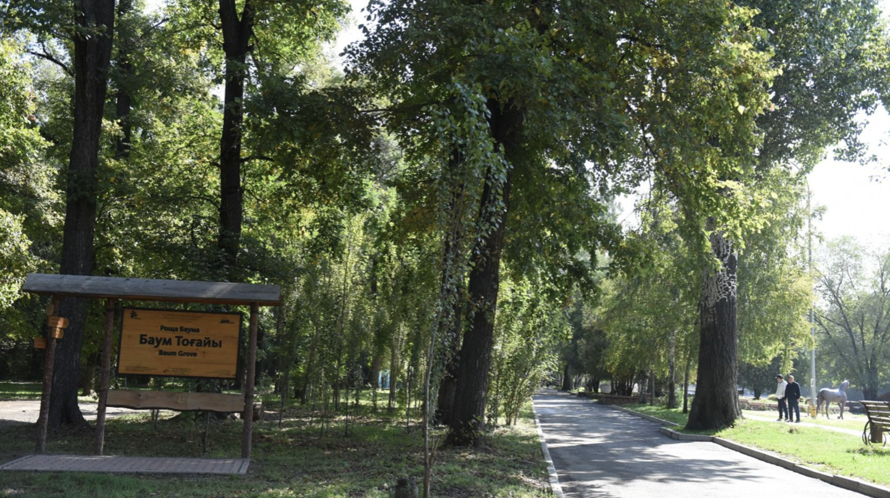 Алматыда Баум тоғайын абаттандыру жобасы басталды