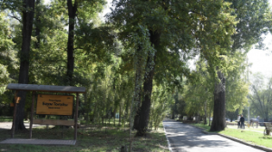 Баум тоғайында абаттандыру жұмыстары аясында бірде-бір ағаш кесілмейді