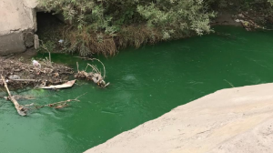 Алматыда Қарғалы өзенін ластағандар іздестіріліп жатыр