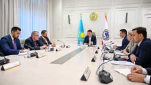 Алматы әкімі қатарлық инвестициялық компания өкілдерімен қаланың инвестициялық мүмкіндіктерін талқылады