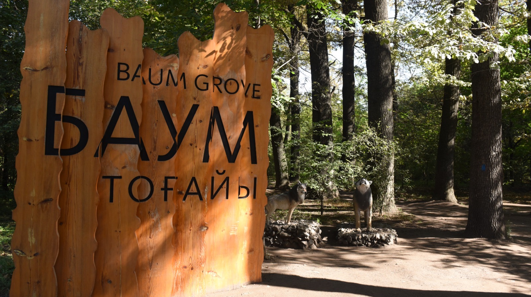 Алматылықтарға Баум тоғайын абаттандыру жобасы таныстырылды