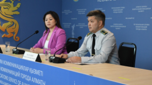 Алматыда қаржы пирамидаларымен күрес күшейді