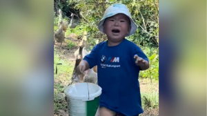 Қаздан қашқан кішкентай Керей: үш жасар бала әлем мен Snoop Dogg-ті таңғалдырды