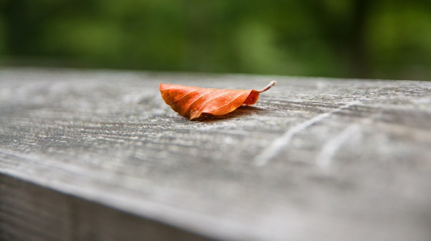 Күн салқындайды: 1 қыркүйектің ауа райы болжамы