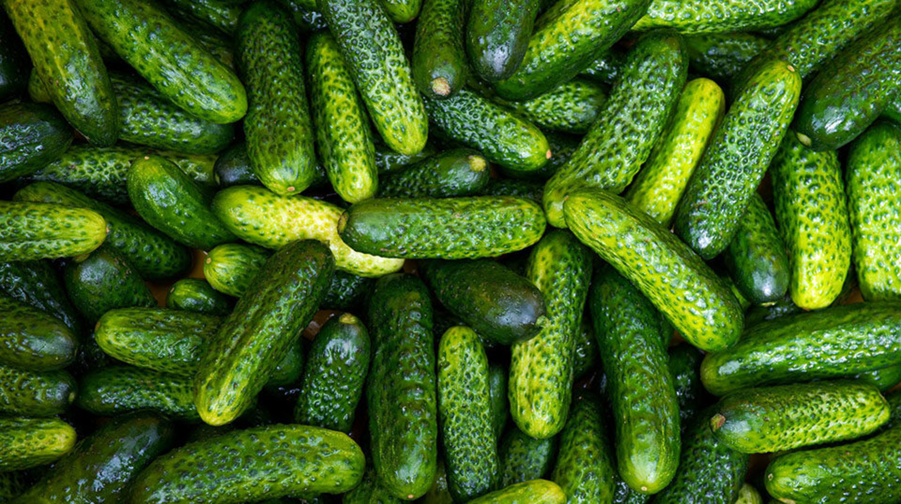 Қытырлақ қияр жабудың құпиясы мен жиі жіберетін қателіктер