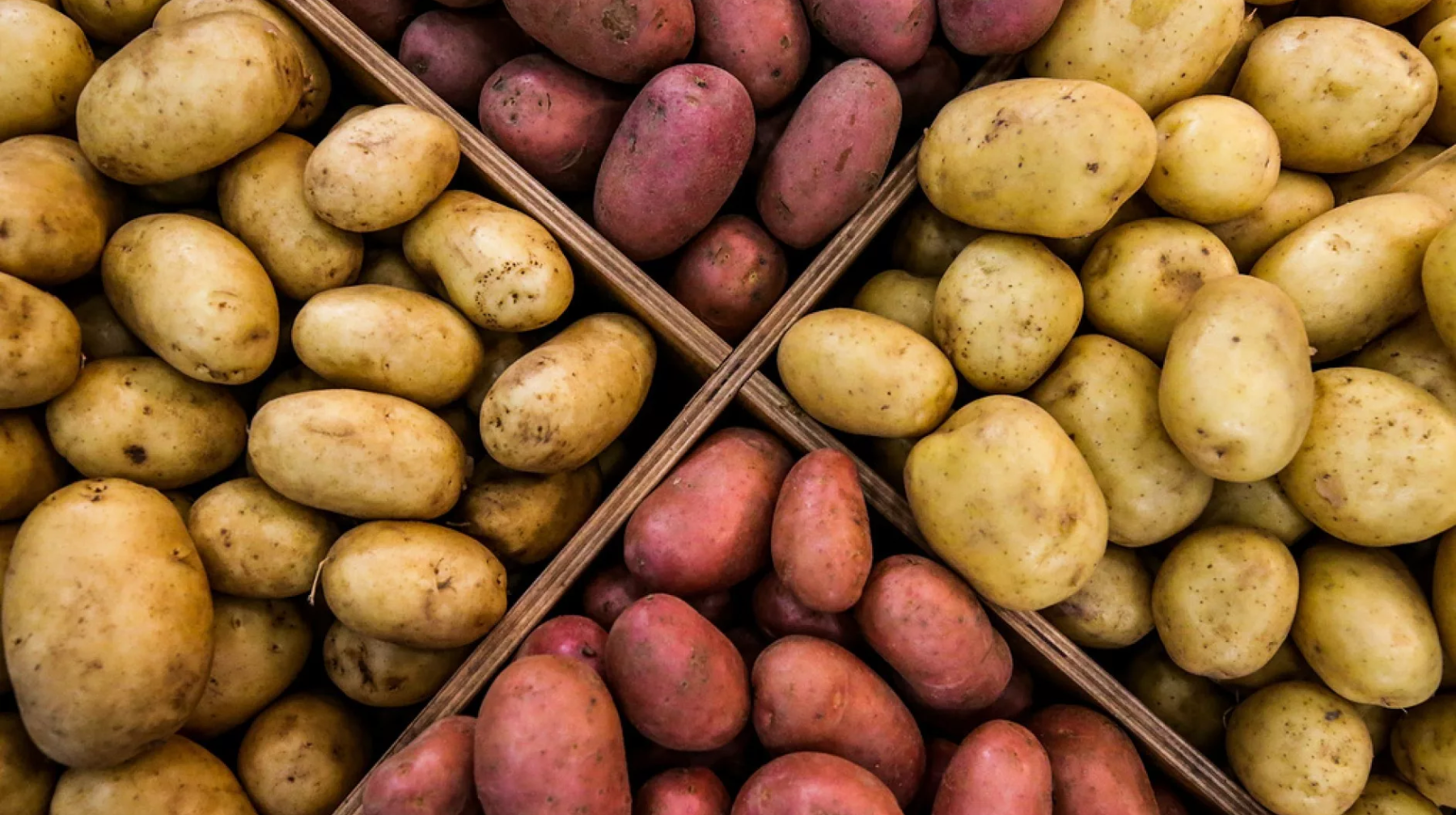 Елімізде картоп экспортына қойылған шектеулер алынып тасталды