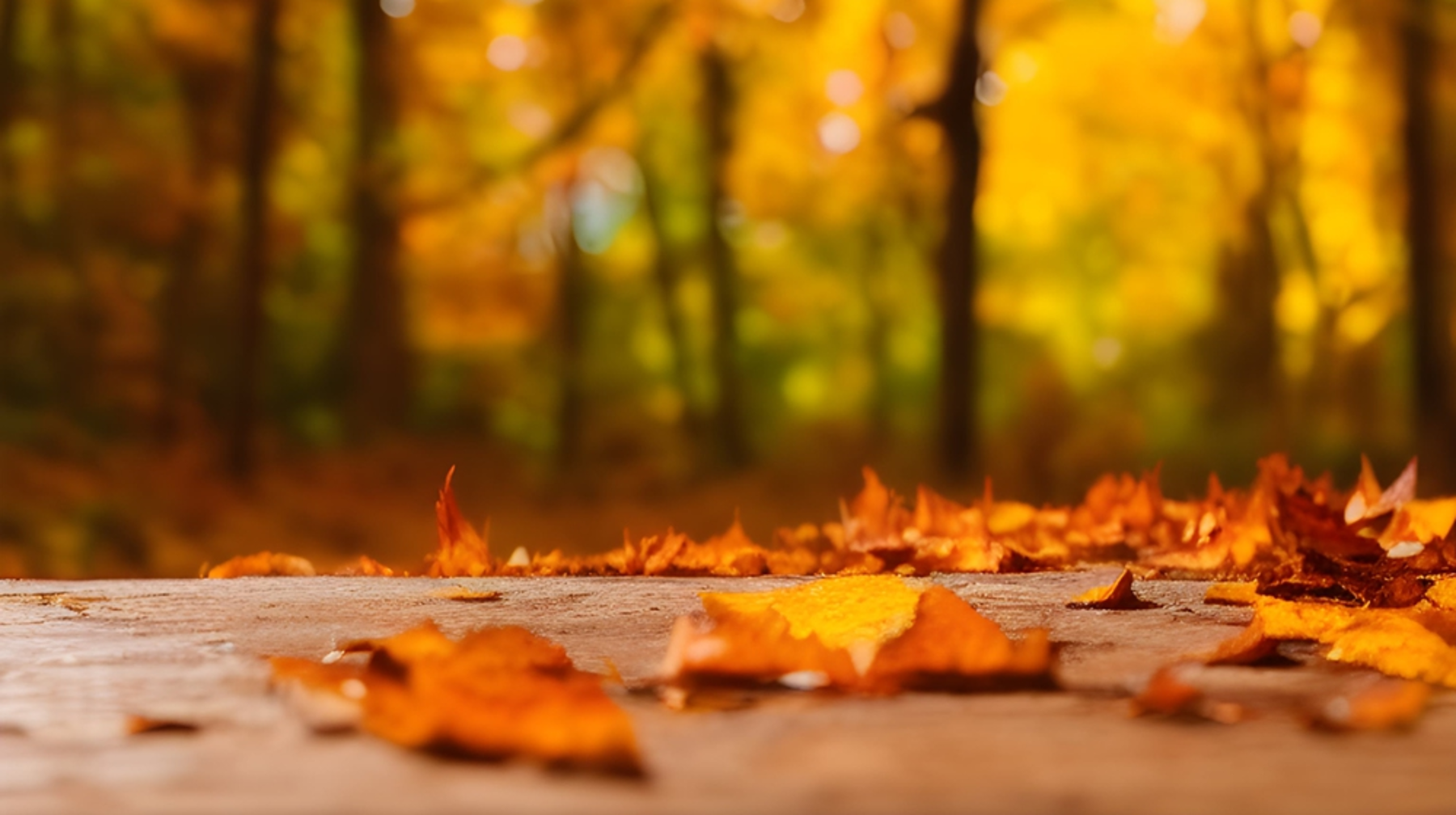 Күн күрт суиды: синоптиктер ауа райы болжамын ұсынды 