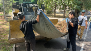 Алматы әкімі санитарлық тазалық пен көгалдандыруға бақылауды күшейтуді тапсырды