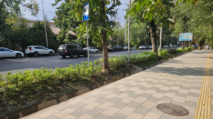 Алматының Алмалы ауданында 60 мыңнан астам бұта отырғызылады