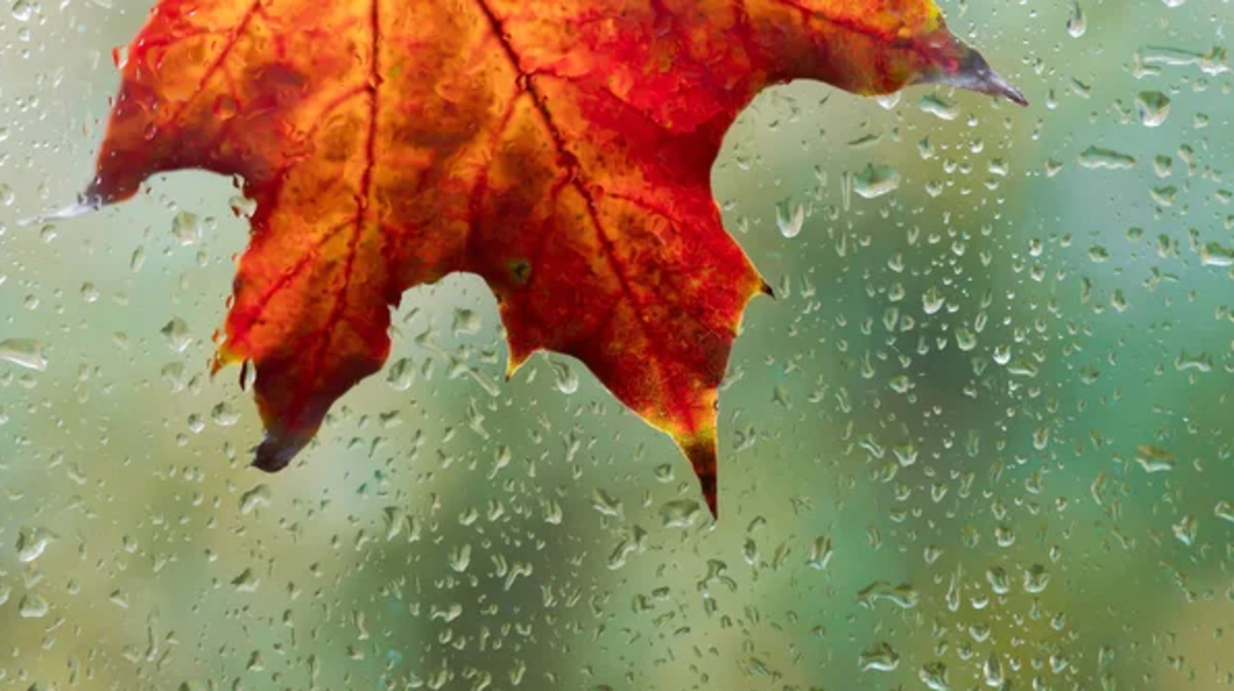 Жаңбыр мен жел: 15 қыркүйекке арналған ауа райы болжамы