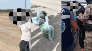 Ұлытау облысында полицейлер 15 келі марихуана тәркіледі