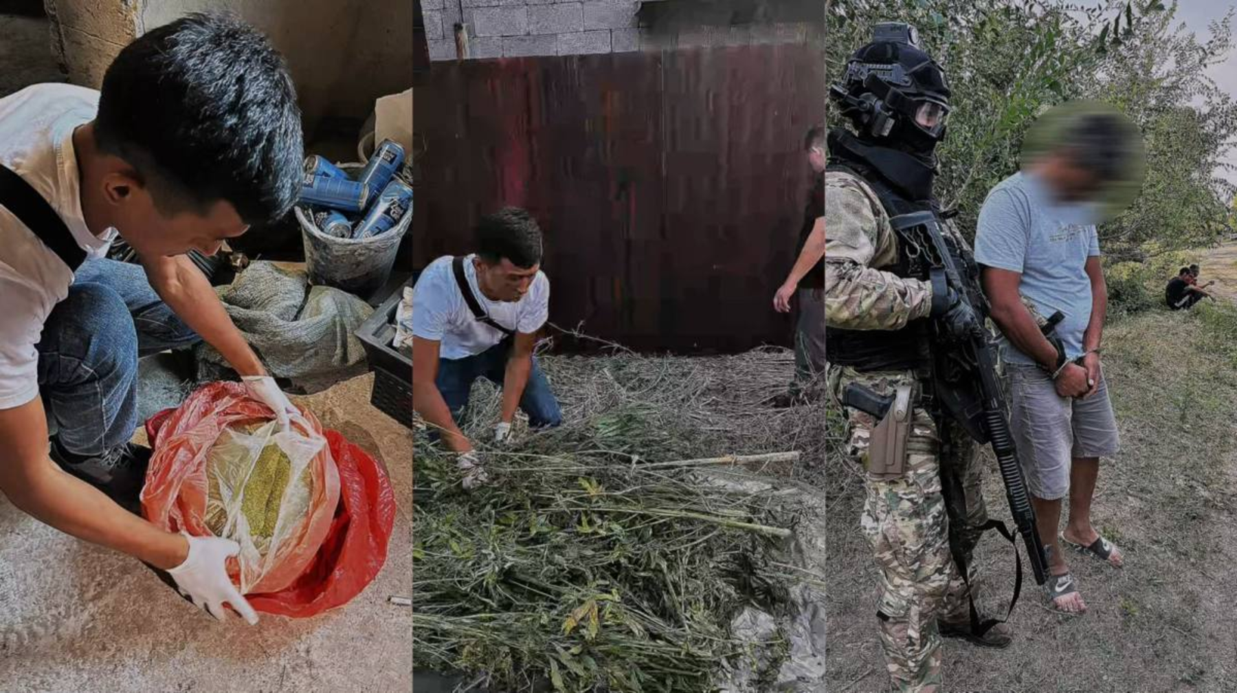 Алматы облысында полиция ер адамнан 13 келіден астам марихуана тәркіледі  