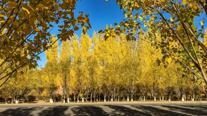  27 қыркүйекте ауа райы қандай болады?