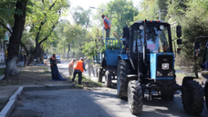 Алматының тазалығына үлес қосқан көрінбейтін батырлар
