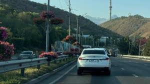 Мемлекеттік нөмірге есім жазу