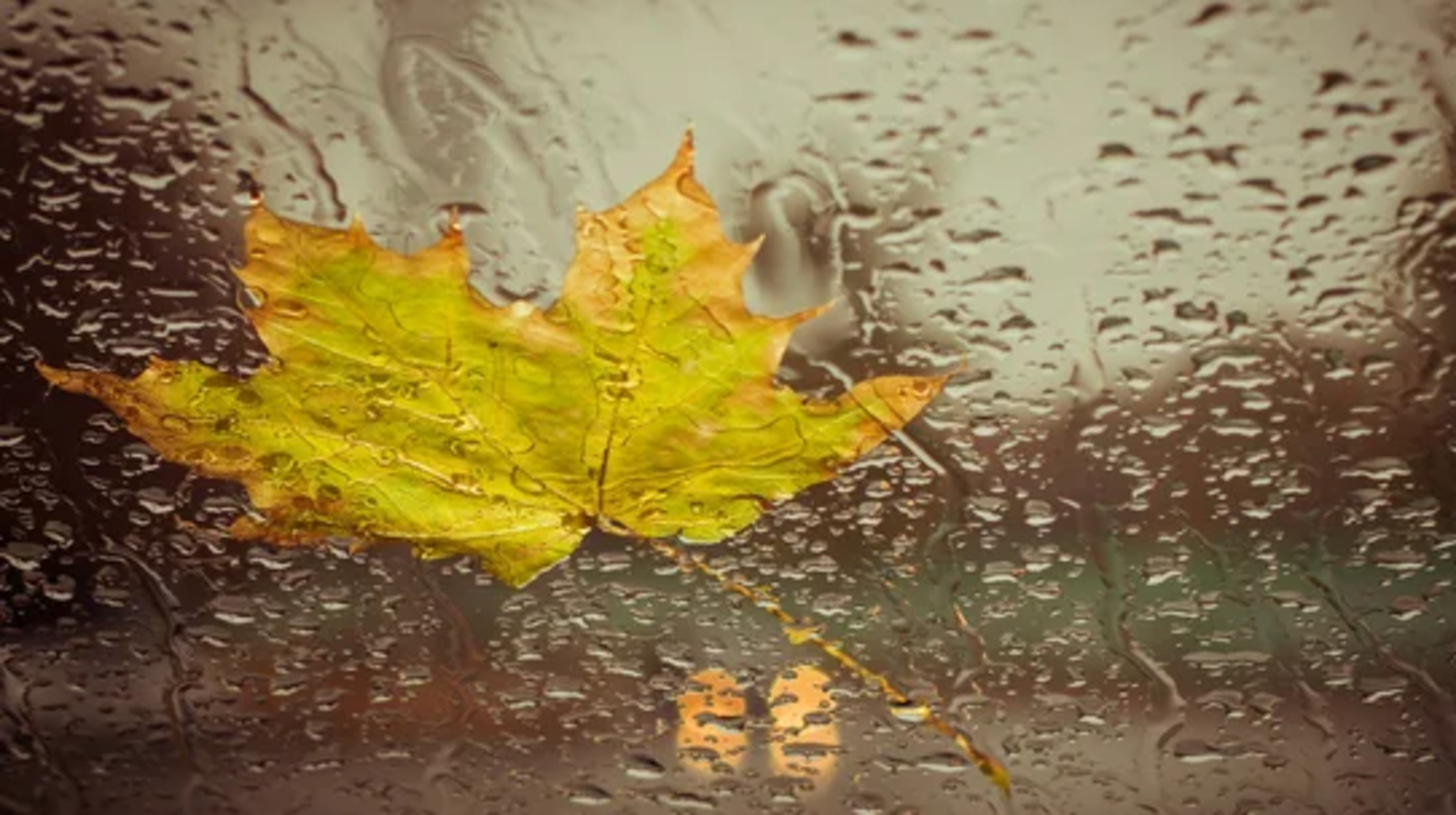 24 қыркүйекке арналған ауа райы болжамы: елдің басым бөлігінде жаңбыр жауады