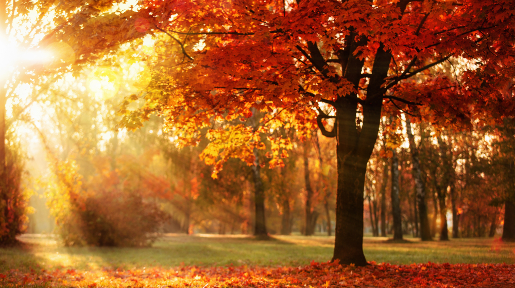 +29 градус жылы. 26 қыркүйекте ауа райы қандай болады?