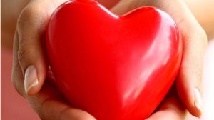 Жүрек - тоқтаусыз істейтін орган: оны қалай күтеміз? 