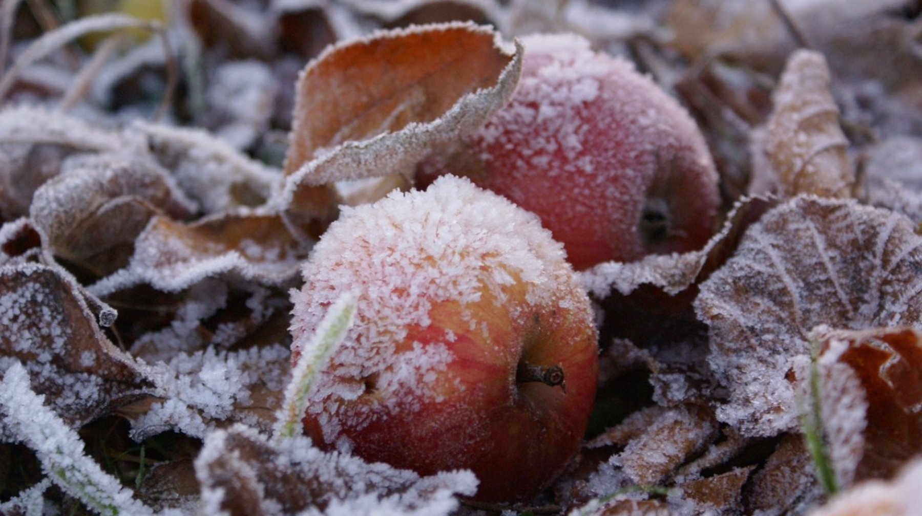 Қар мен үсік — 30 қыркүйекке арналған ауа райы болжамы