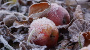 Қар мен үсік — 30 қыркүйекке арналған ауа райы болжамы