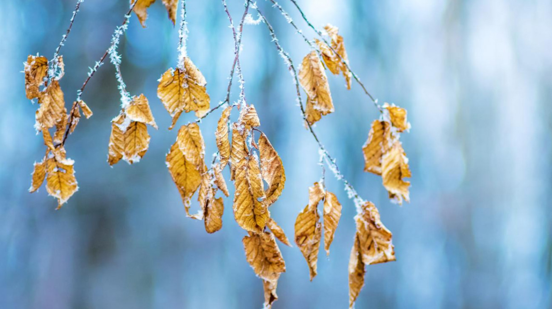 1 қазанның ауа райы болжамы: оңтүстікте де күн суытты 