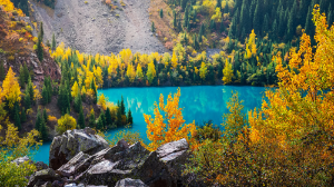 Алматыда 24-26 қазан аралығында қайда баруға болады?