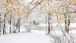Қазанның алғашқы аяздары: Қазақстанның бірнеше өңірінде күн күрт суиды