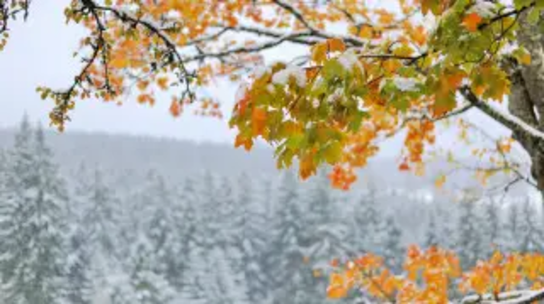 Қар, үсік, тұман: 5 қазанда қандай ауа райы күтілетіні белгілі болды