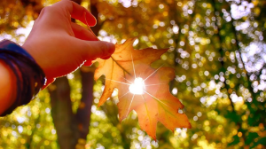 28 градус жылы. Бүгін ауа райы қандай болады?