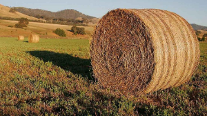 Шетелдік компанияның иелігінде болған заңсыз жер мемлекет меншігіне қайтарылды 