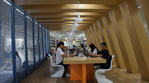 Алматыда жаңа кітапханалар, мұражайлар мен театрлар салынады