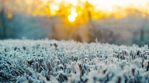 Алматыда 13 қазанда ауа райы қандай болады? 