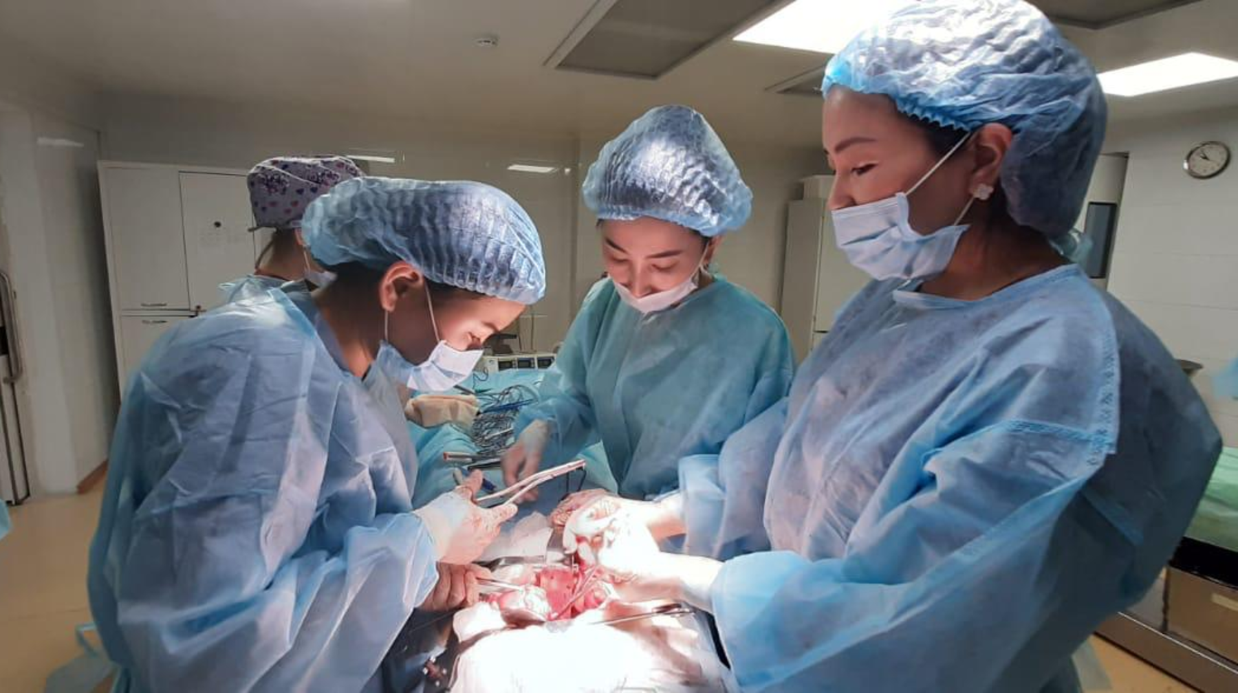 Онкогинекологиялық аурулар: профилактиканың маңызы қандай?