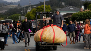 20 мың долларлық алып асқабақ