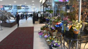 Алматыда жаңа форматтағы базарлар пайда болады  